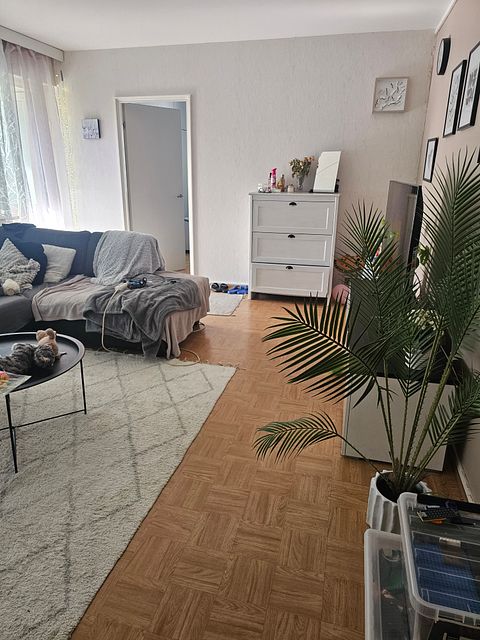 Image 8/13