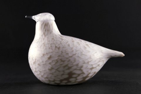 Image 2/17
