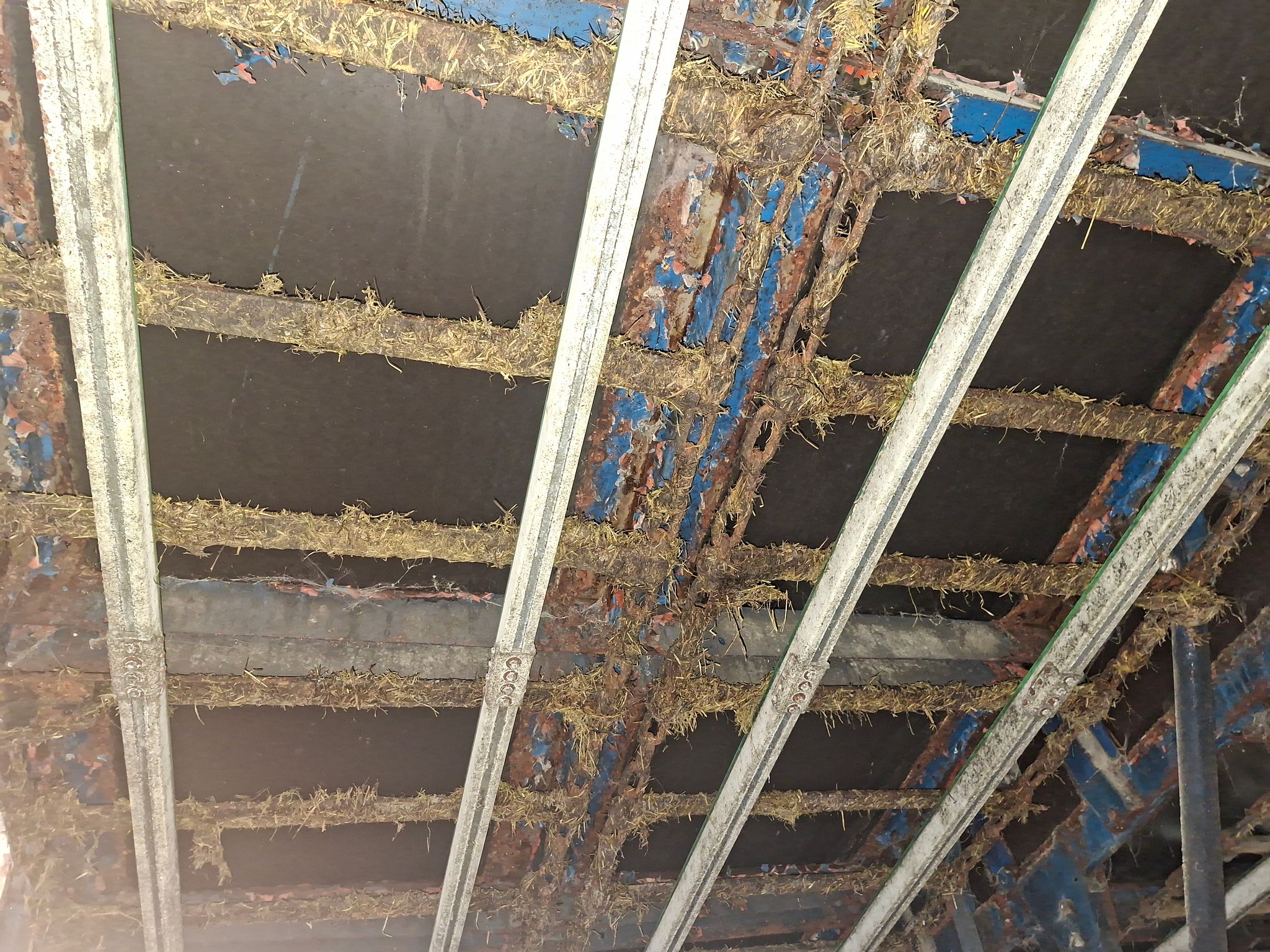 Image 7/7