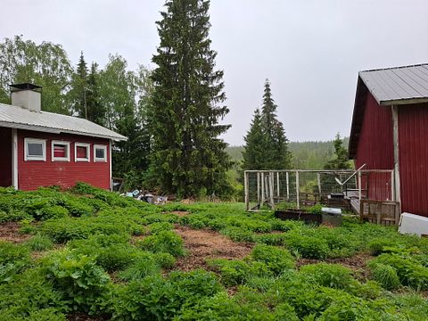 Image 10/40