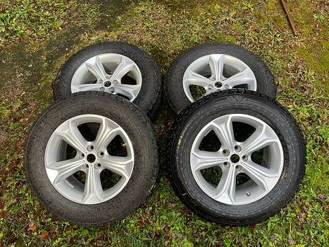 Image 1/11