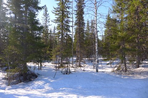 Image 4/4