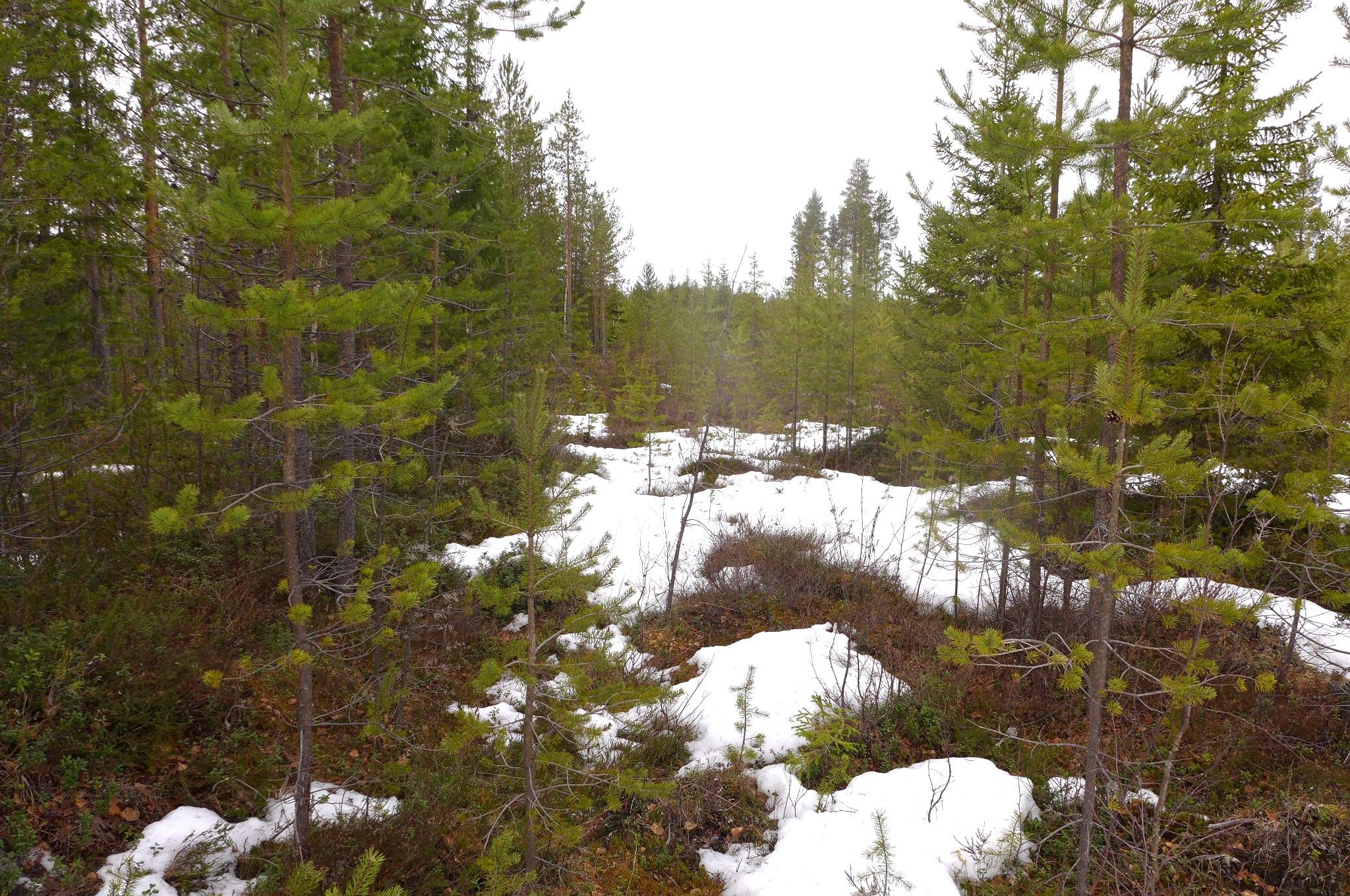 Image 4/24