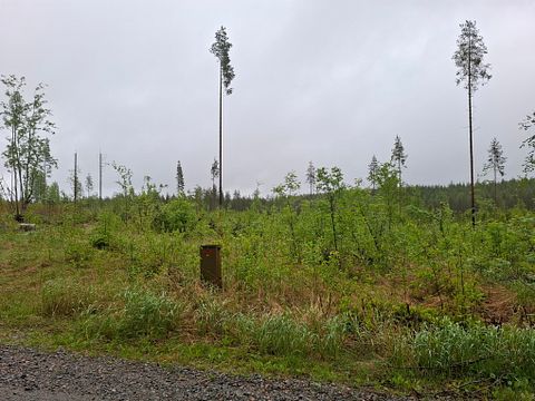 Image 29/40