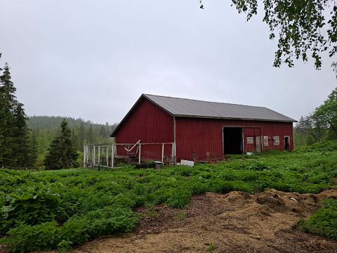 Image 12/40