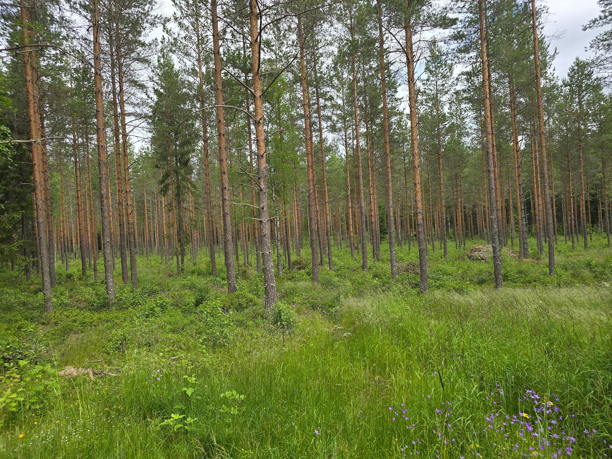 Image 4/20