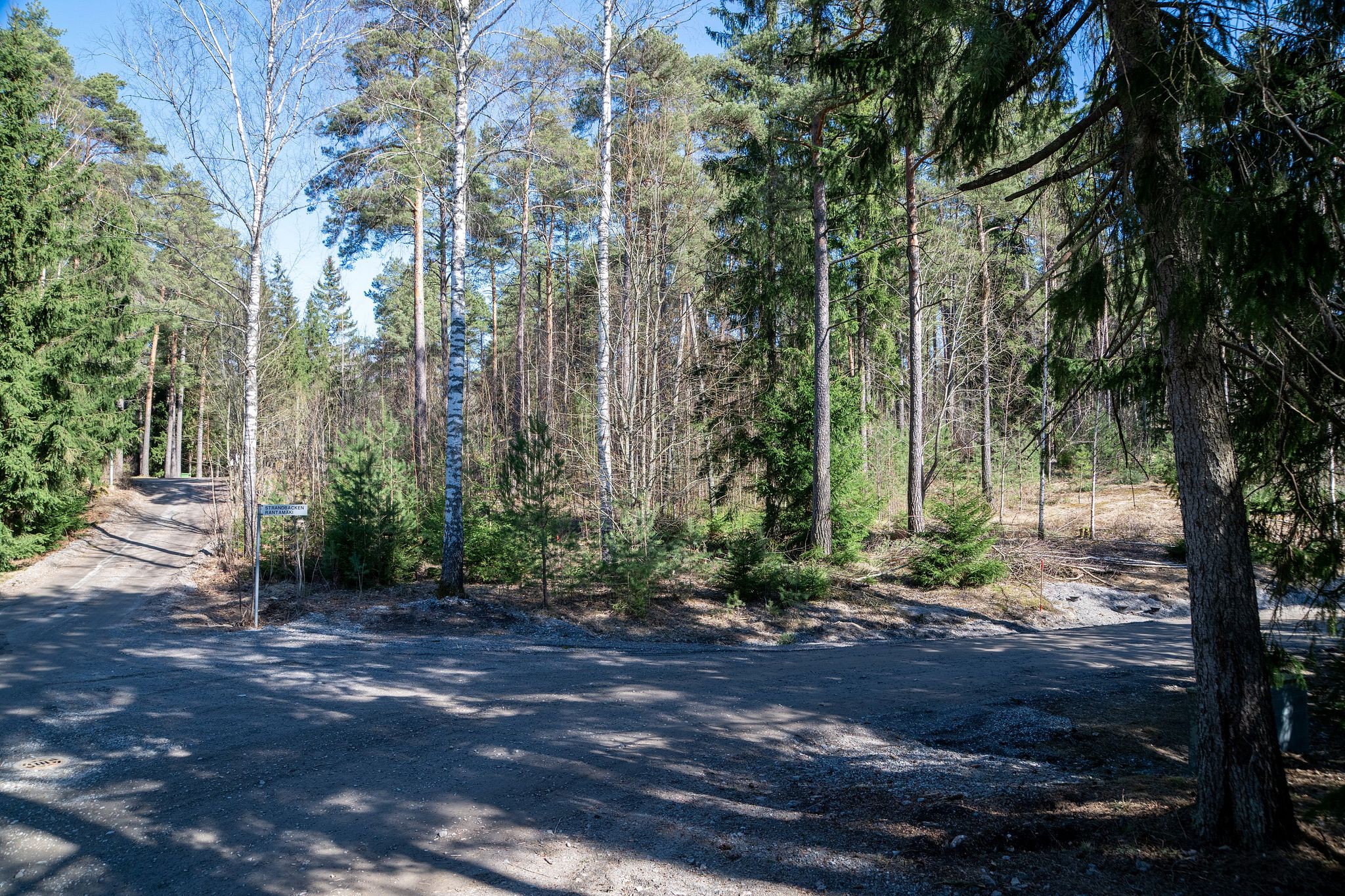 Image 4/19