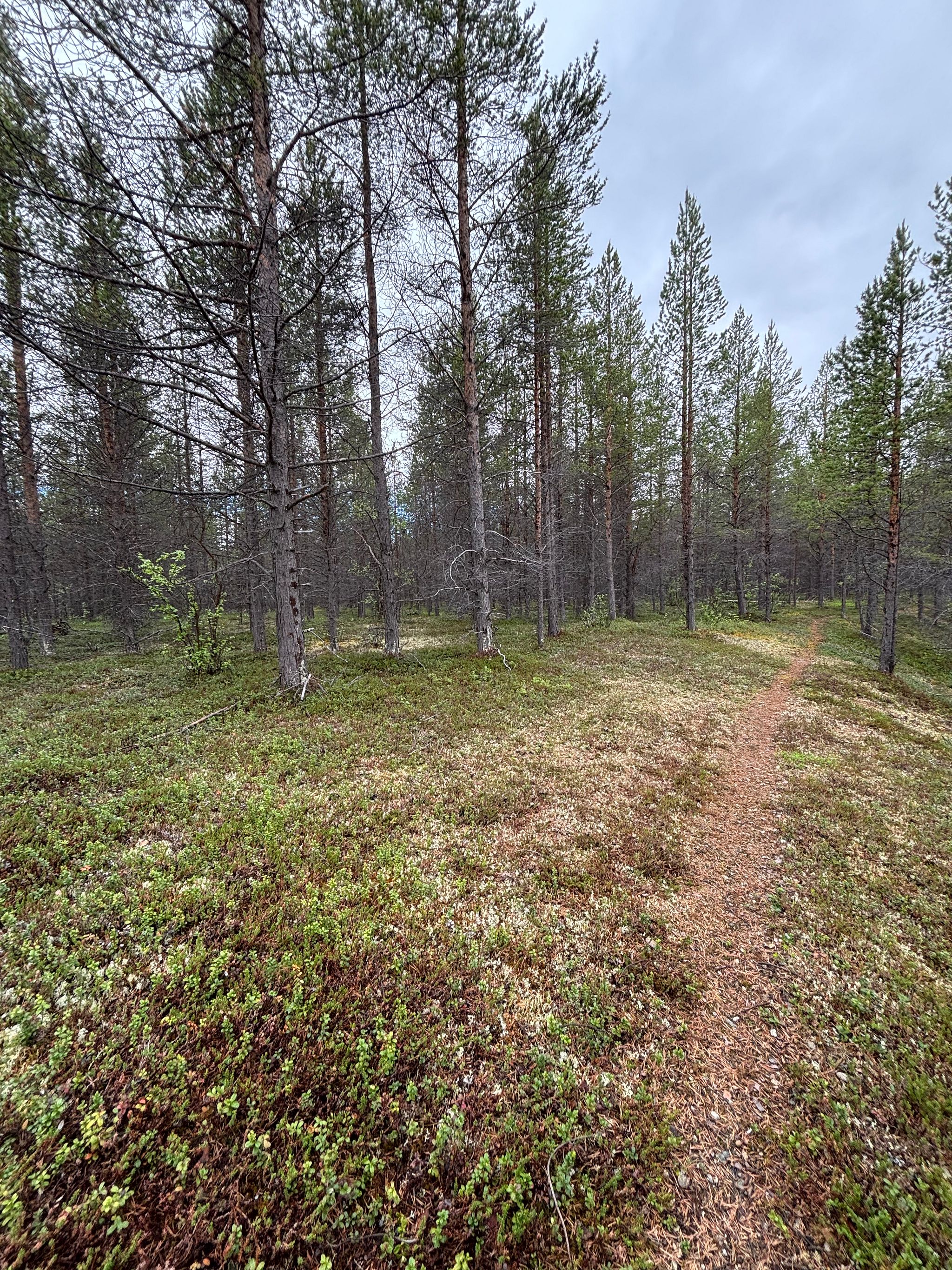 Image 7/12