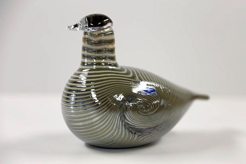 Image 12/16