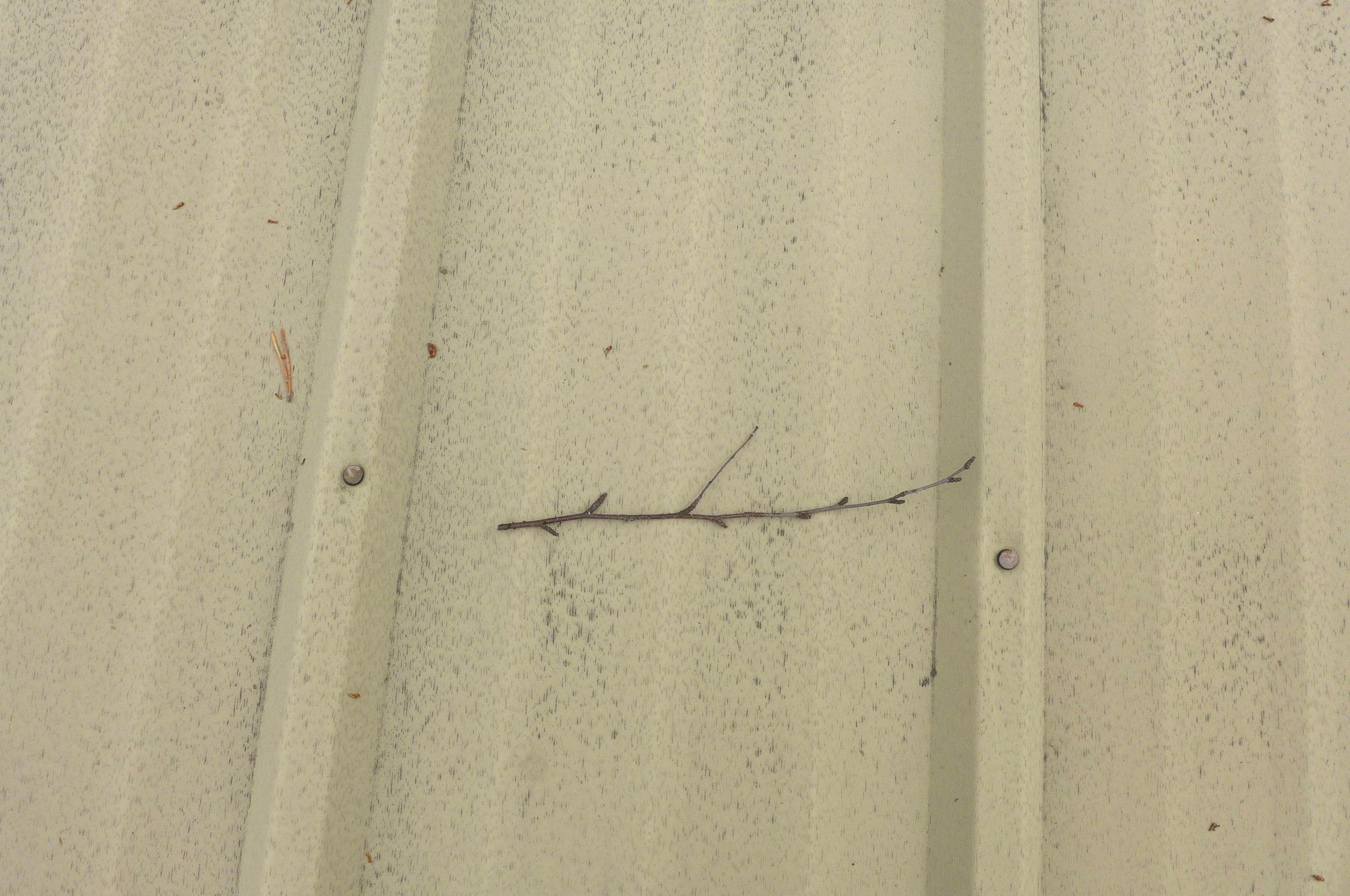 Image 29/51