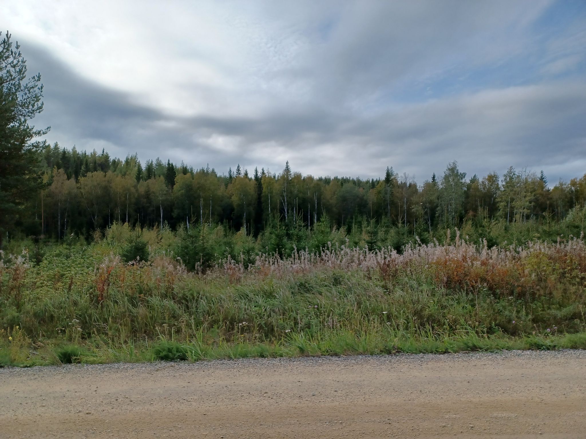 Image 23/24