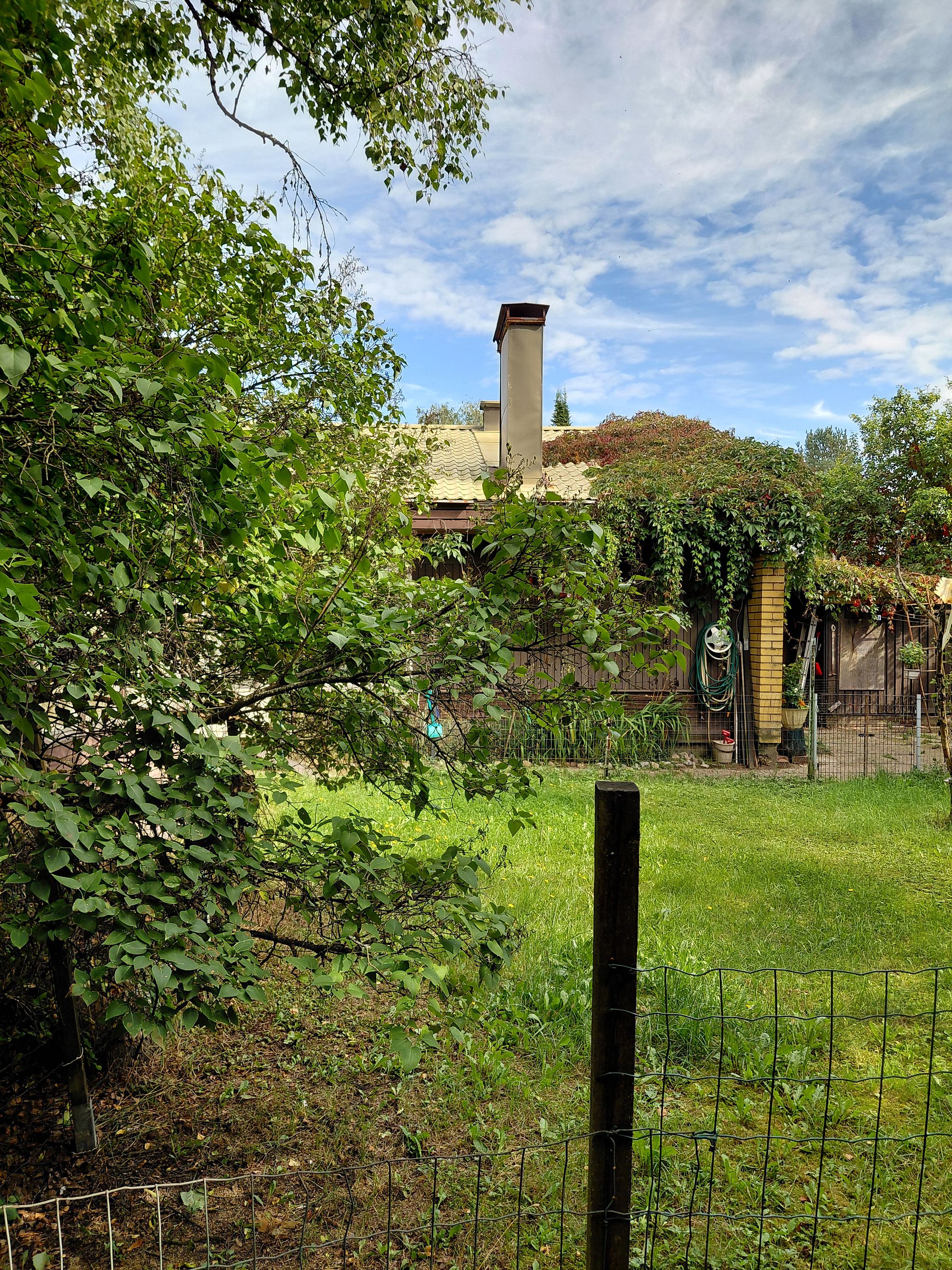 Image 8/33
