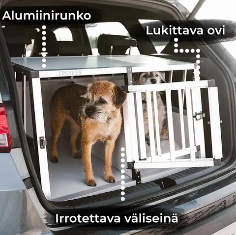 Kuva 11/12