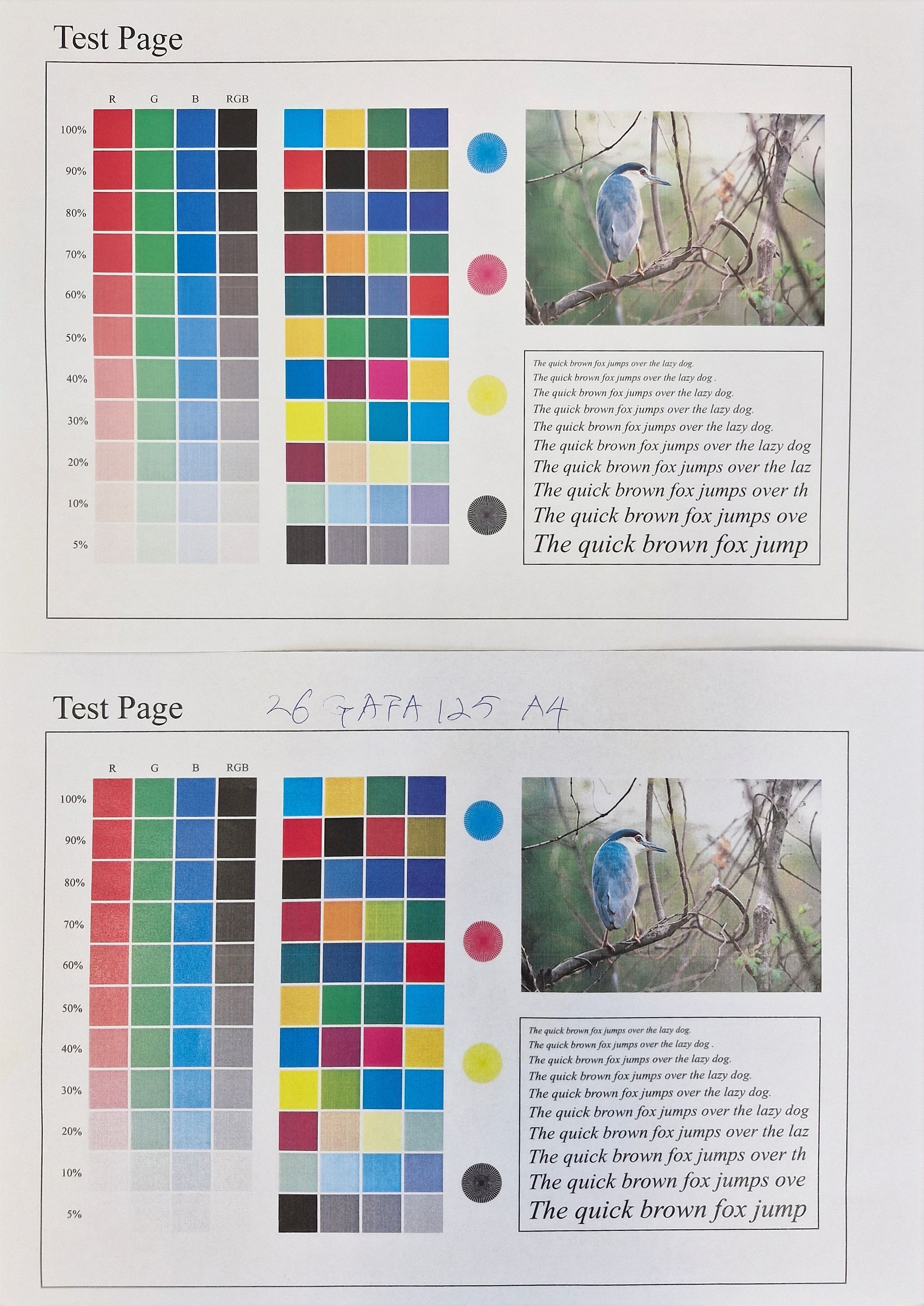 Image 11/12