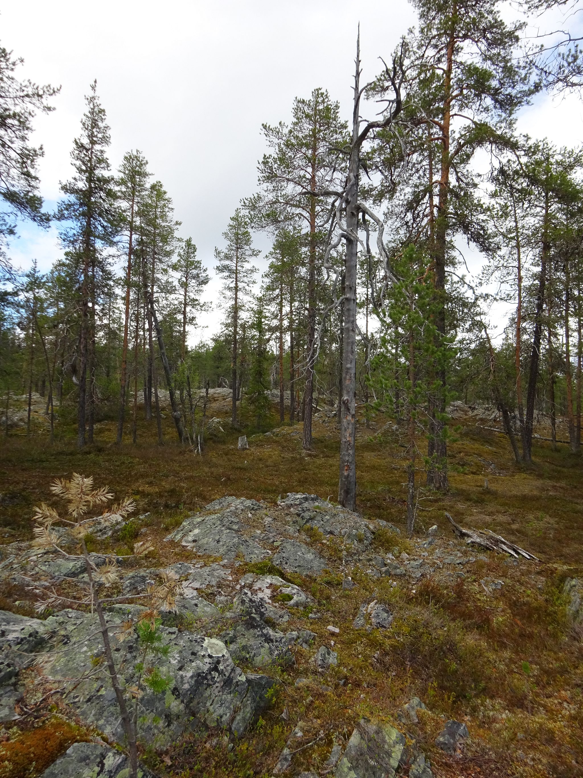 Image 7/17