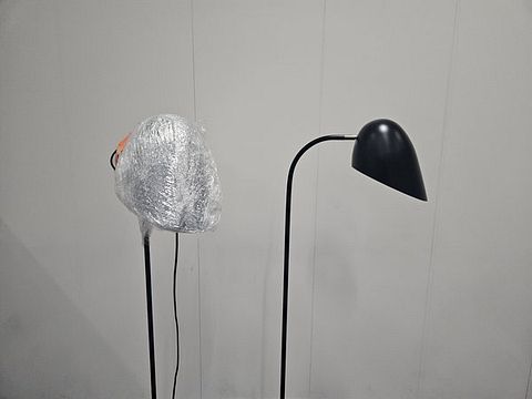 Image 13/15
