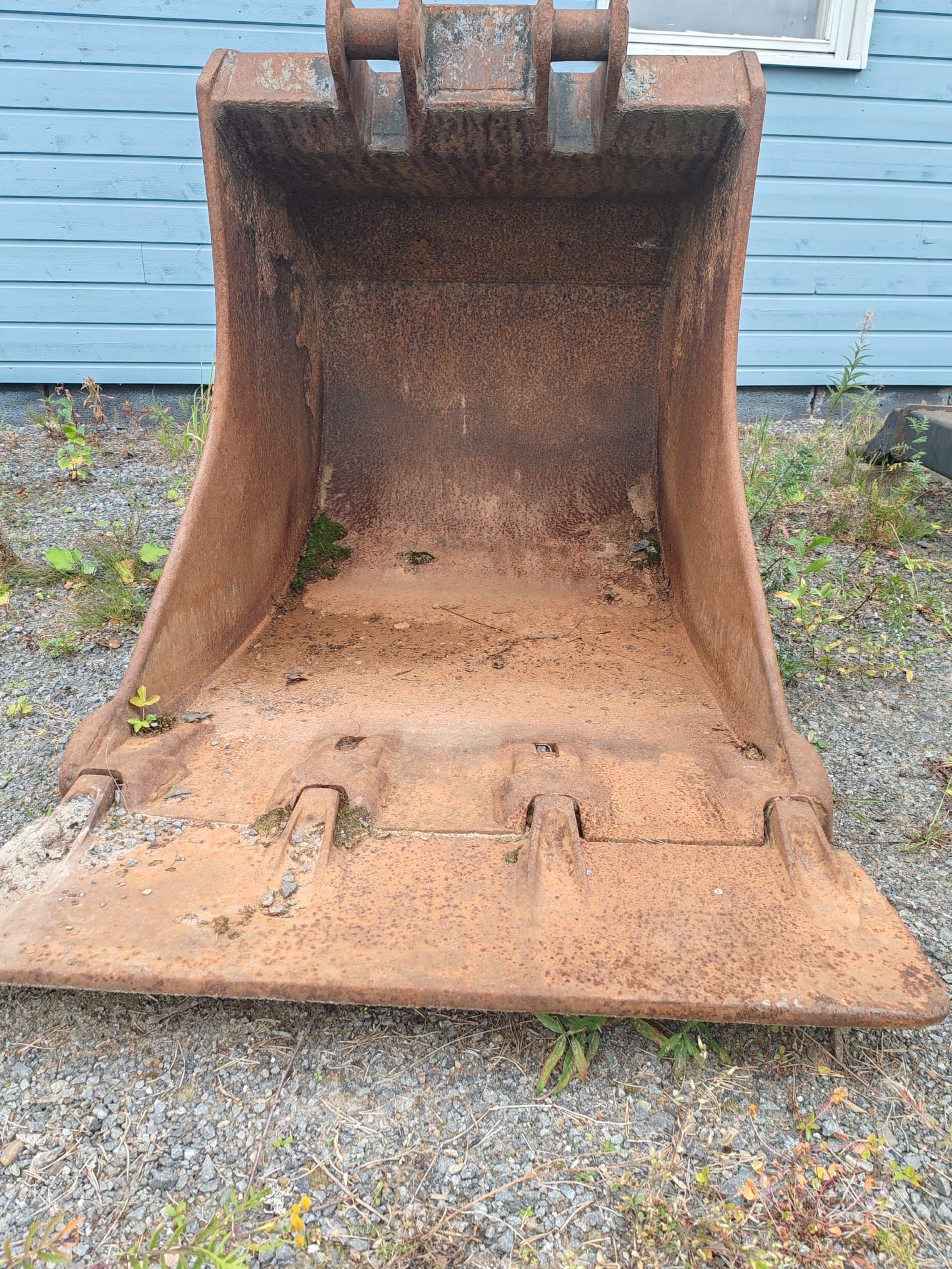 Image 1/11
