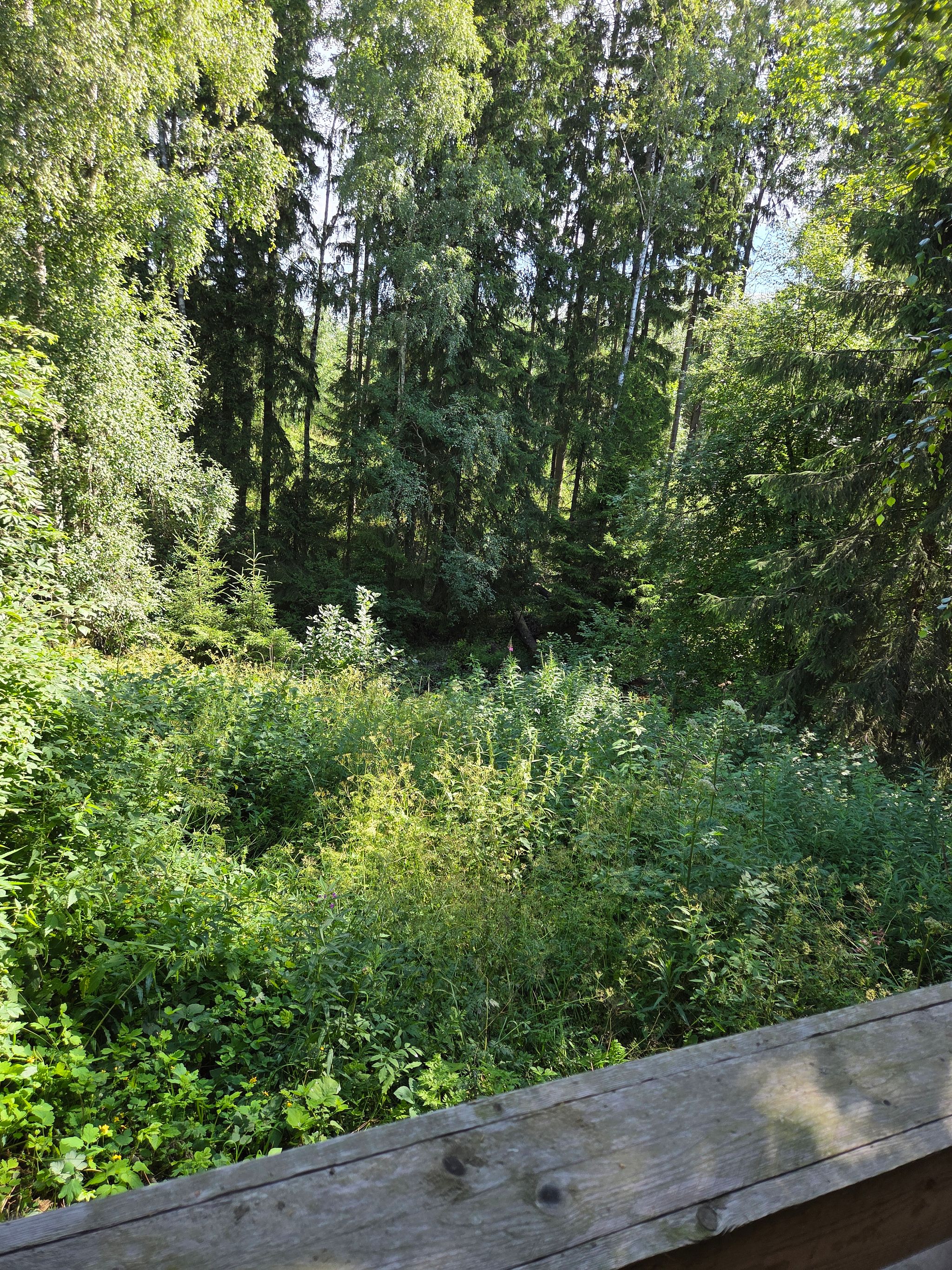 Kuva 83/97