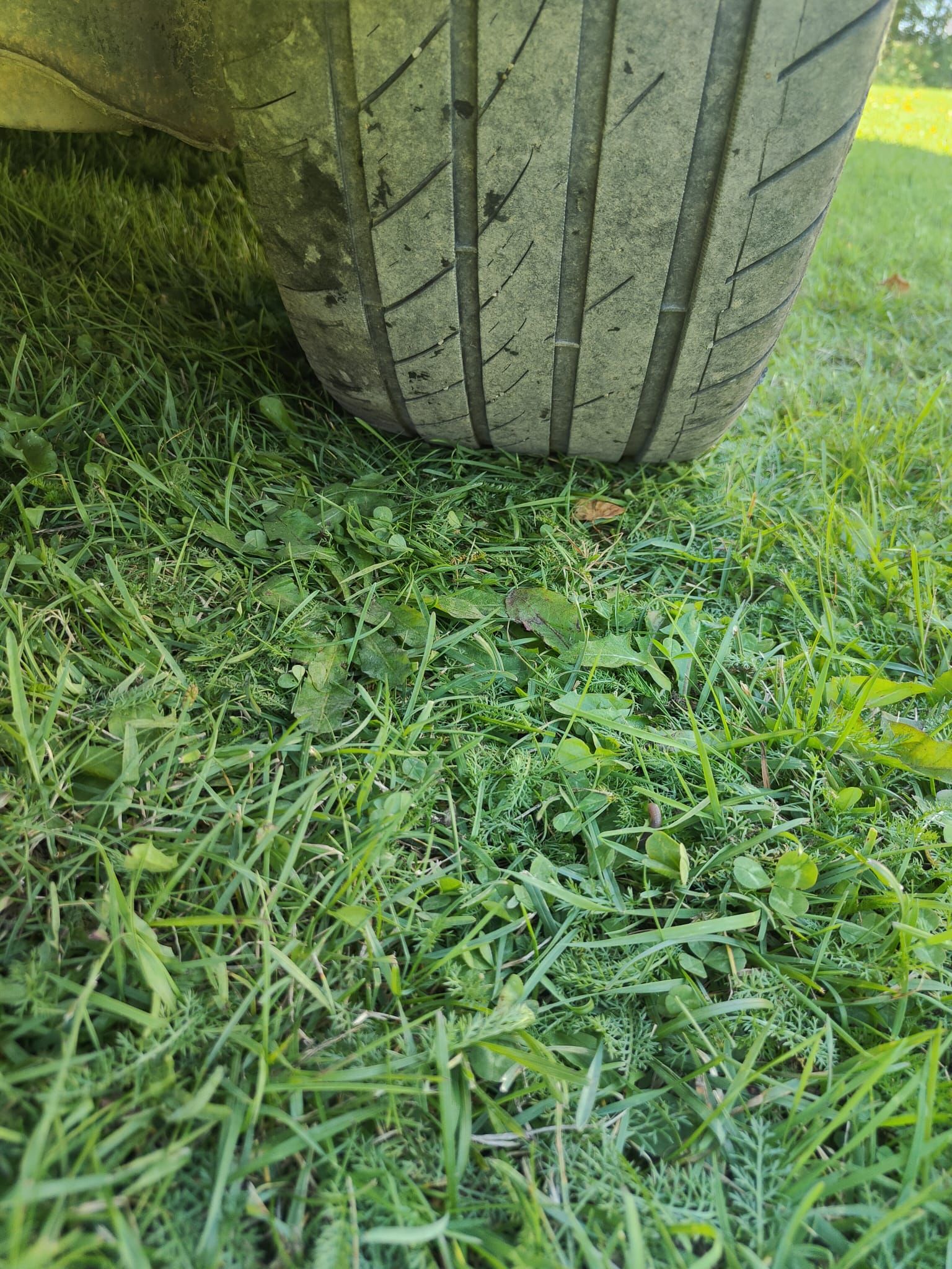 Image 11/12