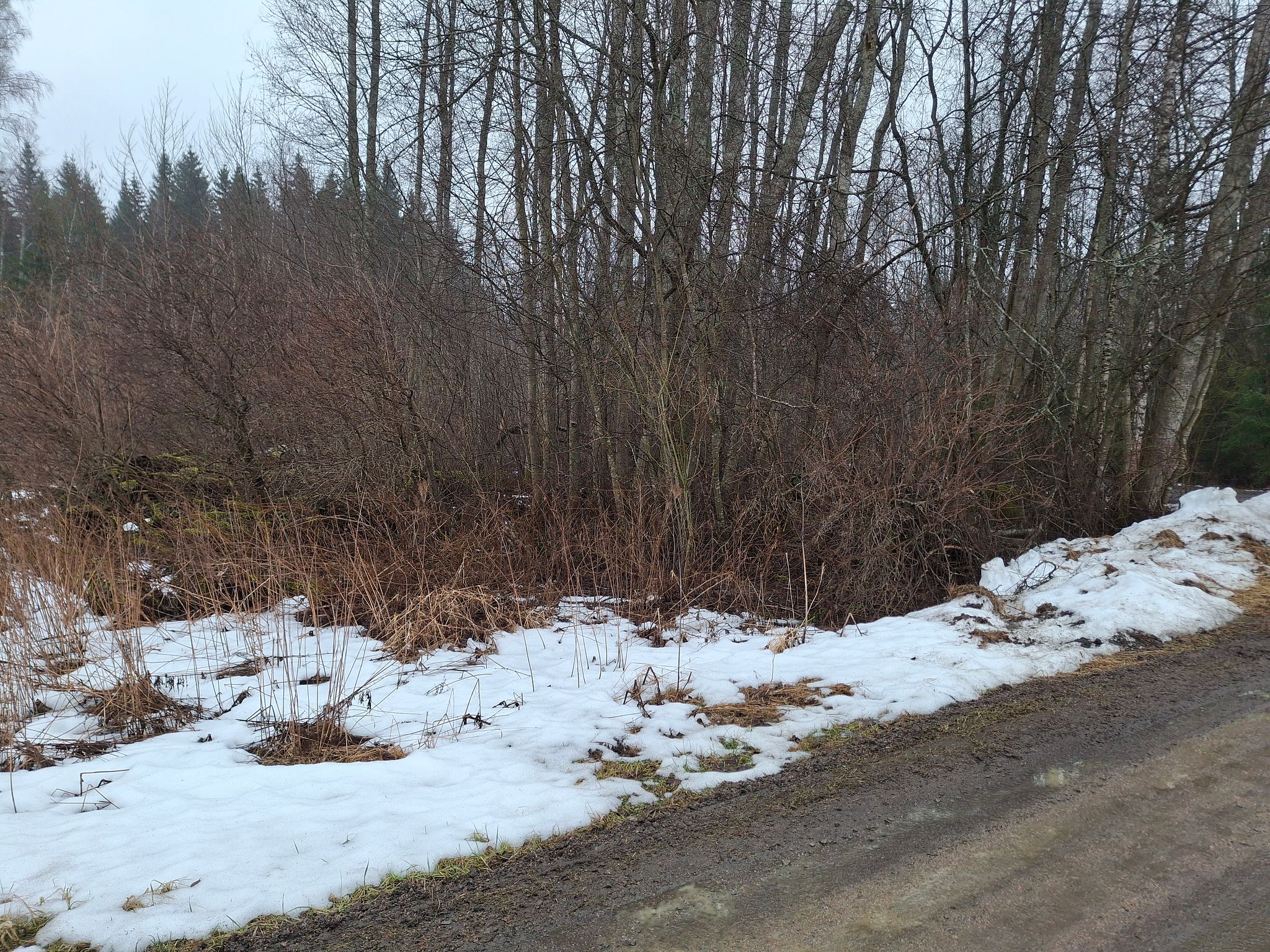 Image 8/13