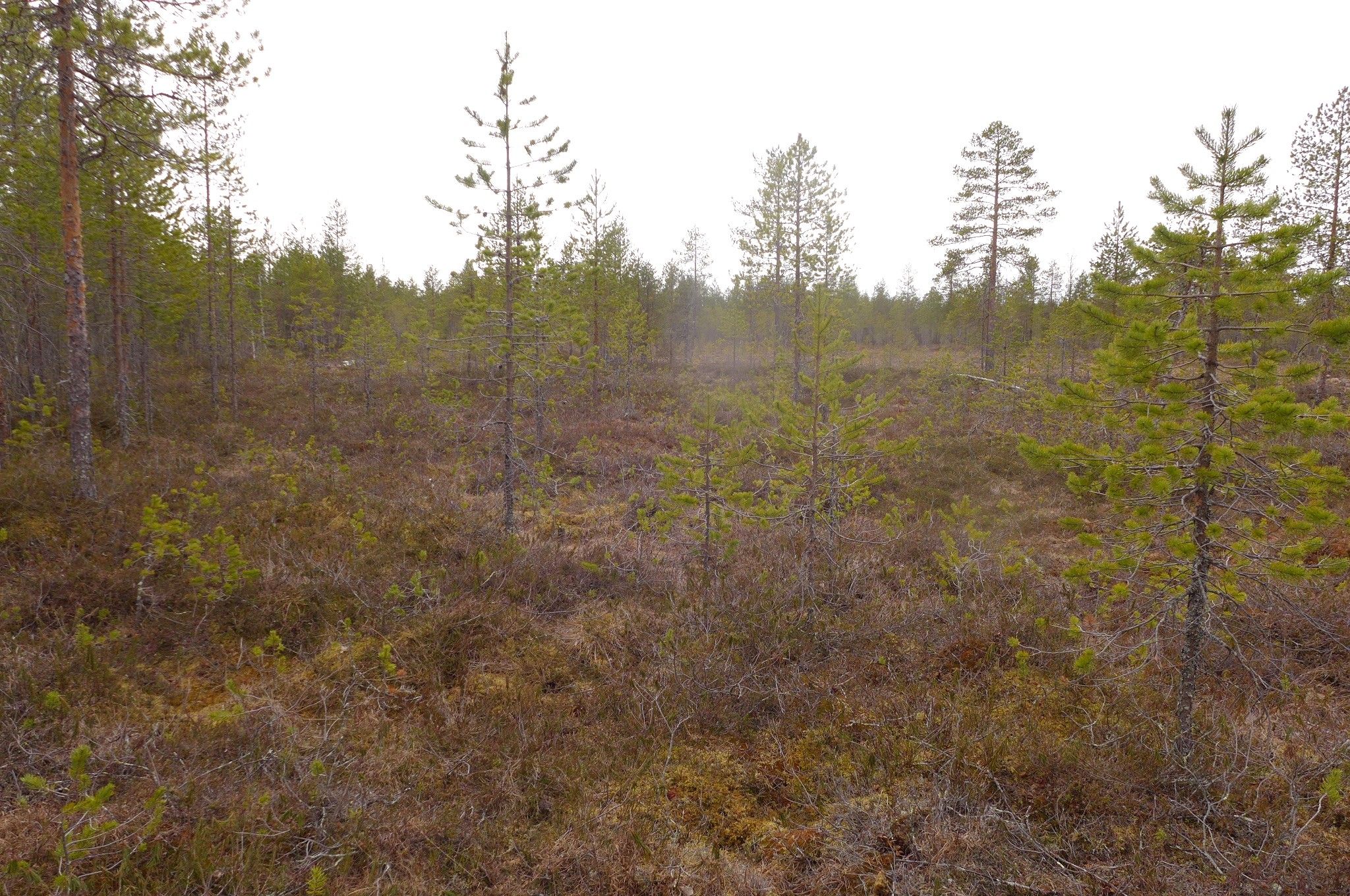 Image 14/24