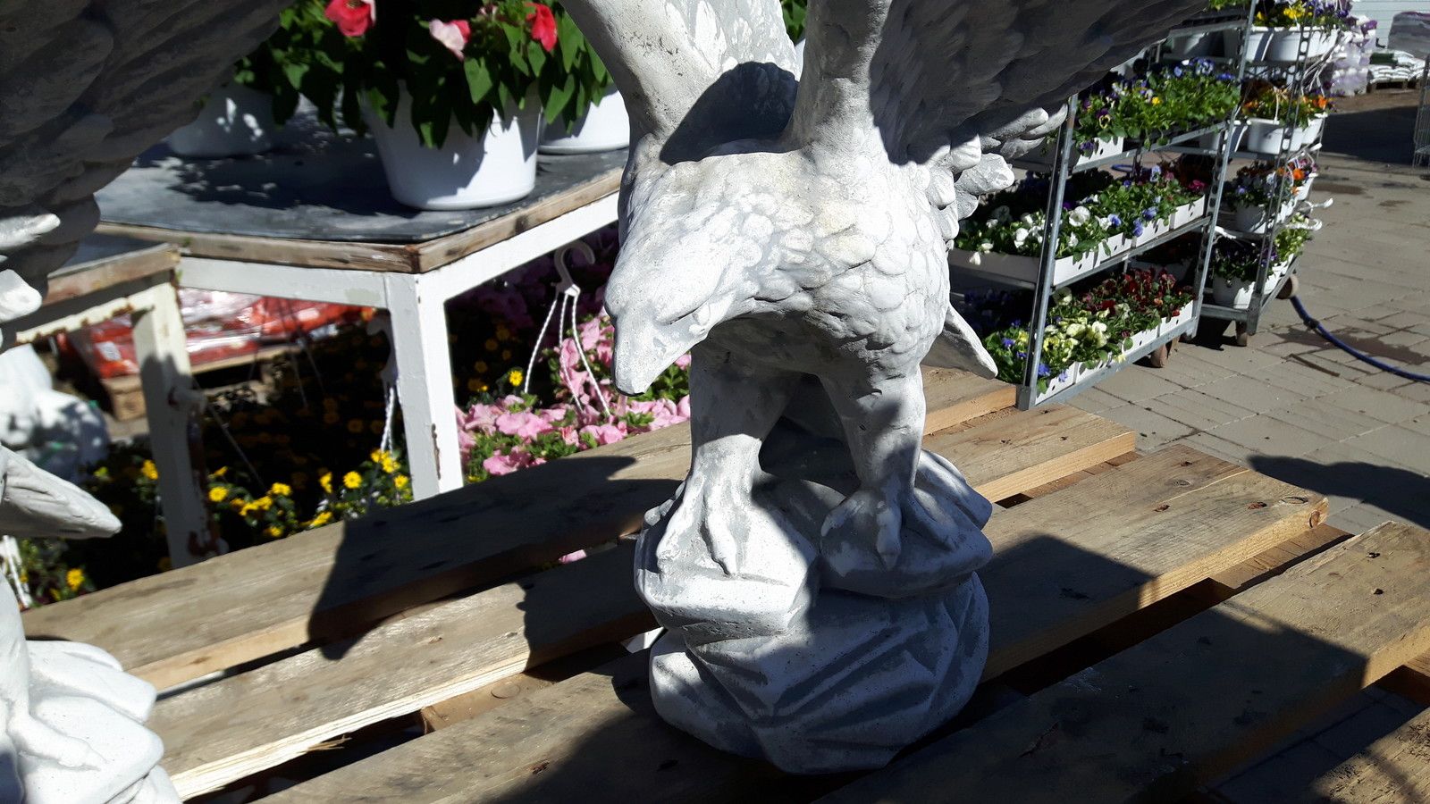 Image 10/21