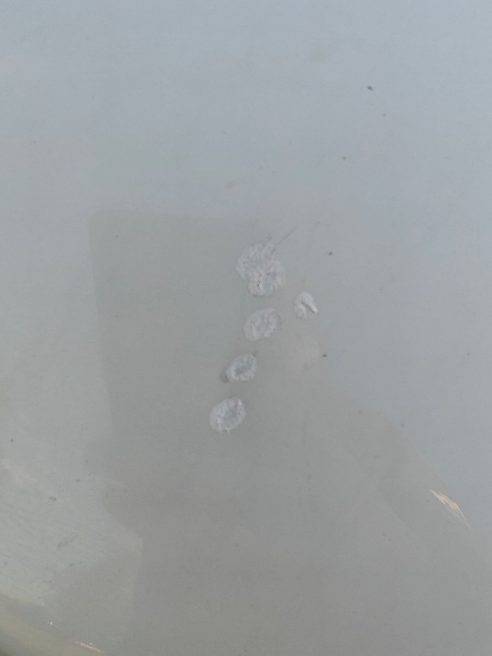 Image 19/29