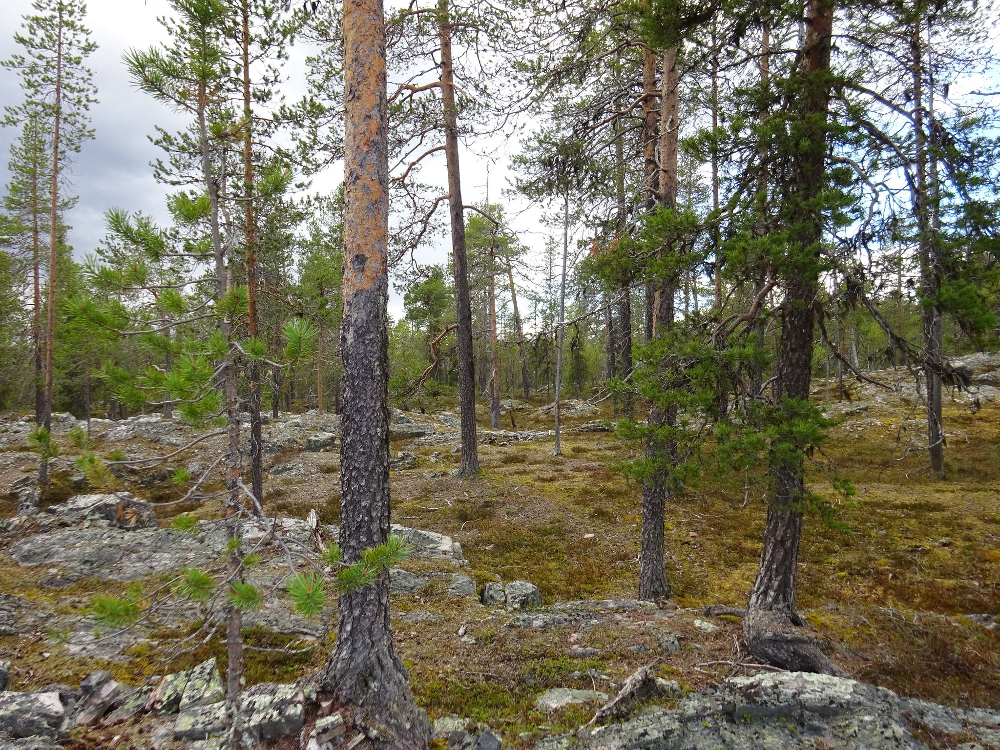 Image 8/17