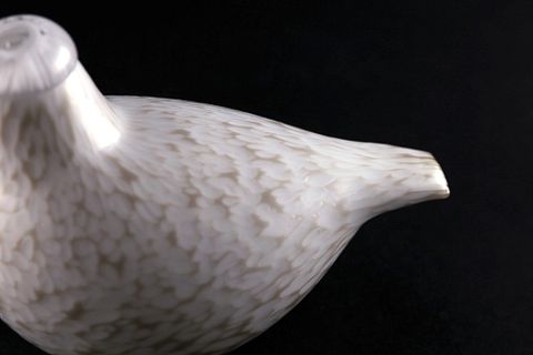 Image 5/17