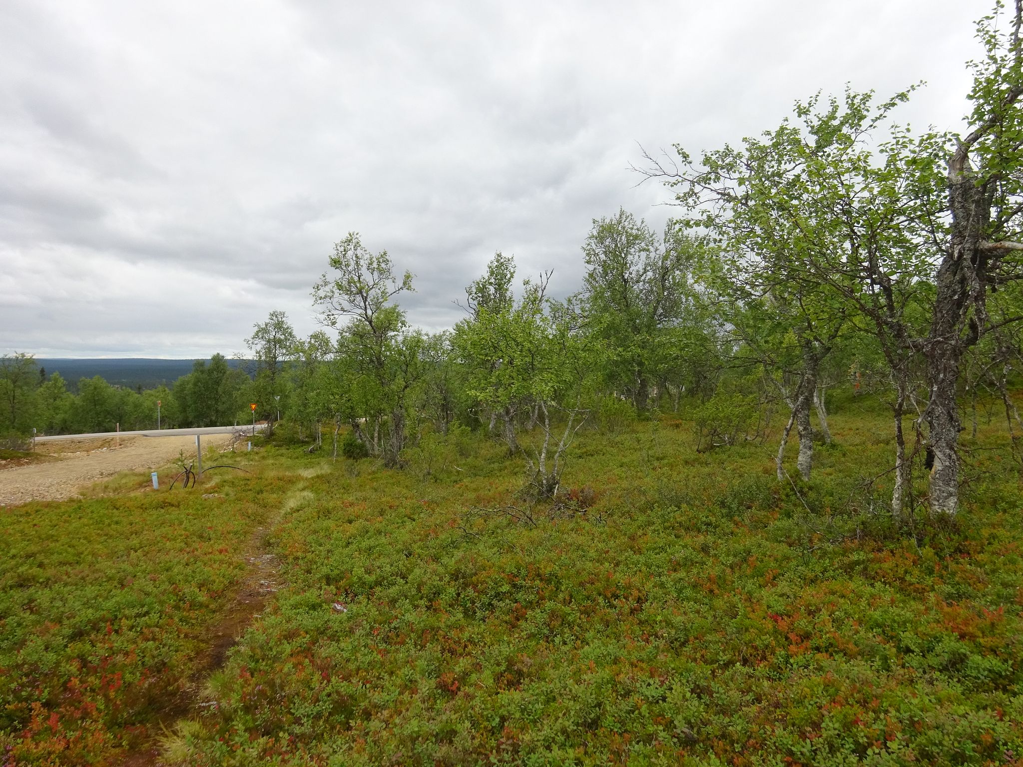 Image 1/8