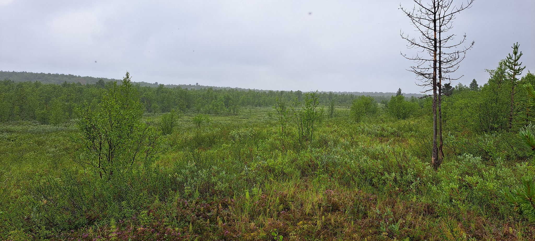 Image 7/18