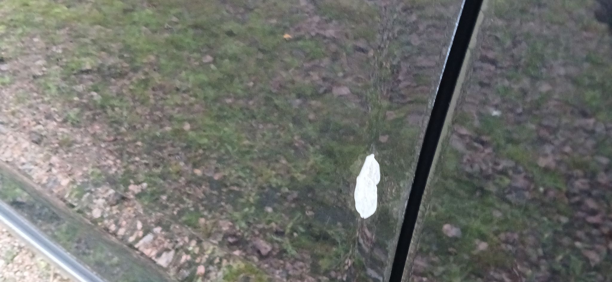 Image 3/19