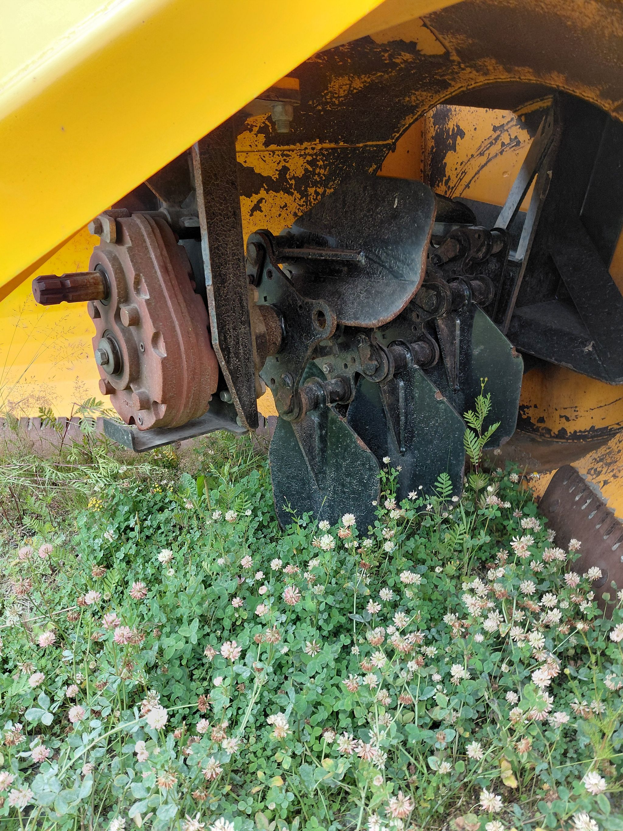 Image 7/7