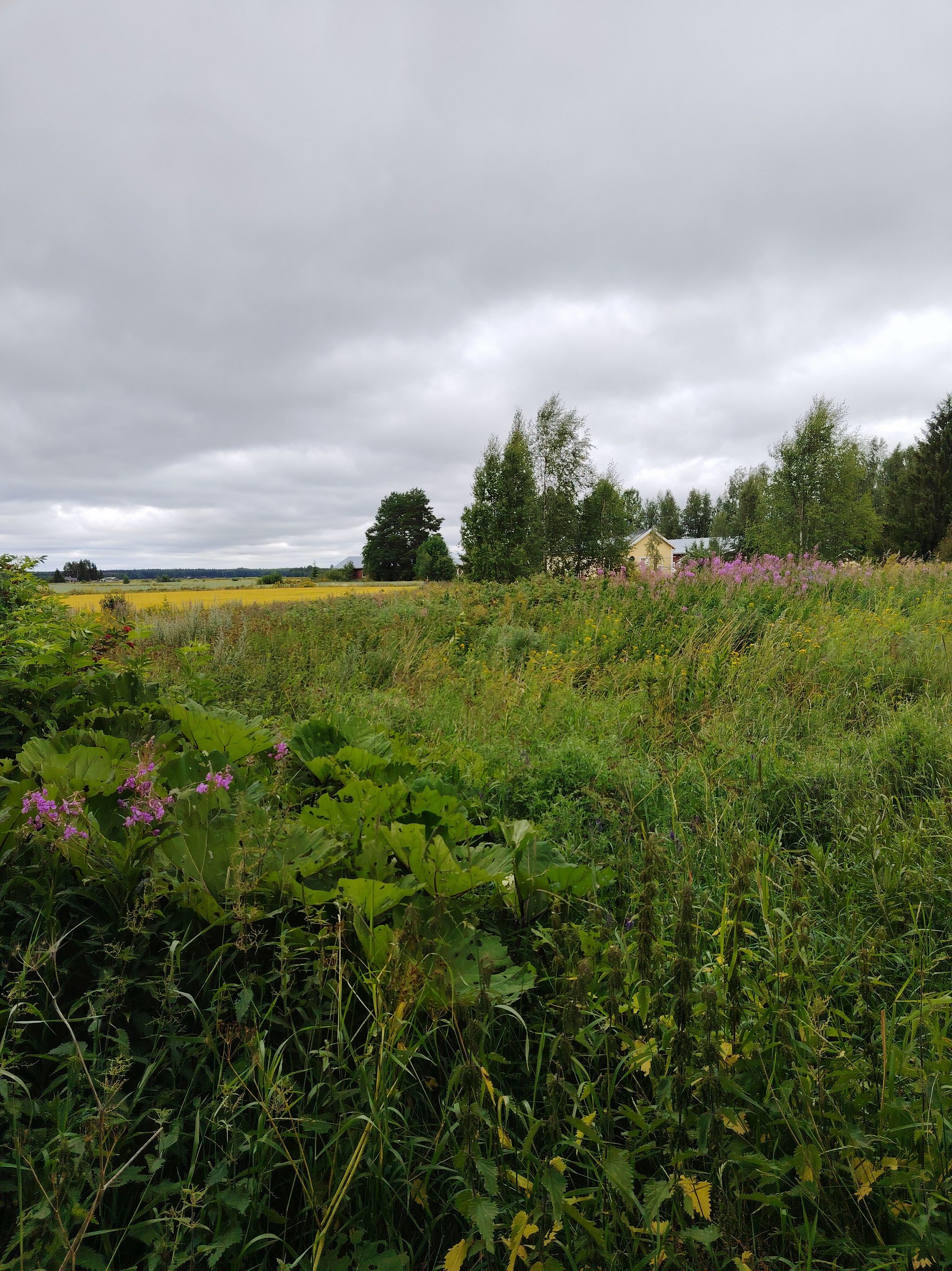 Image 42/61
