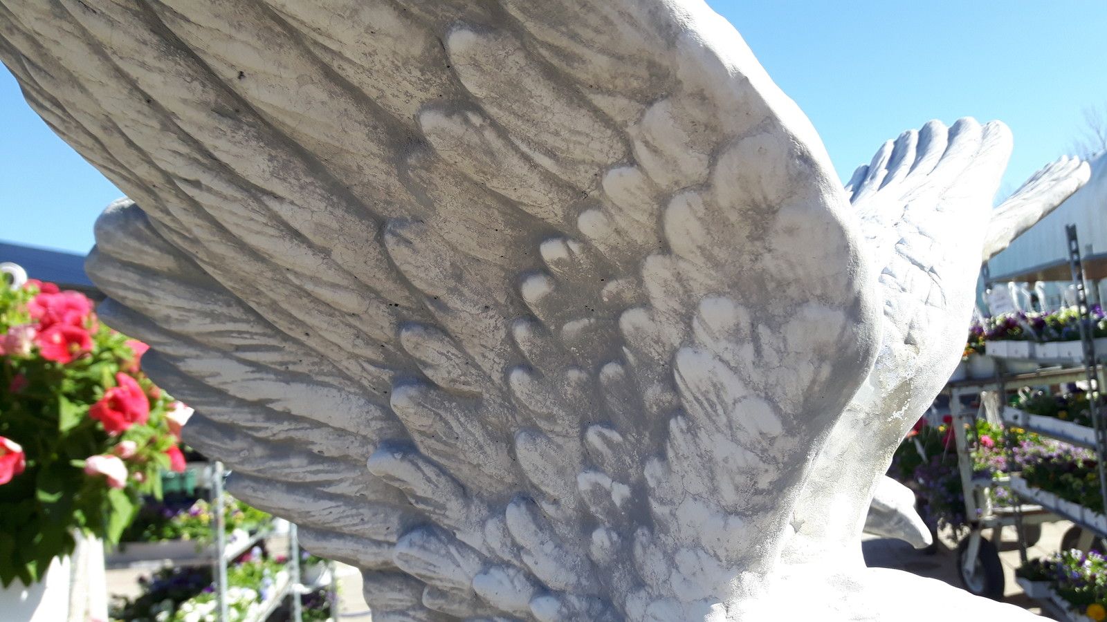 Image 17/21