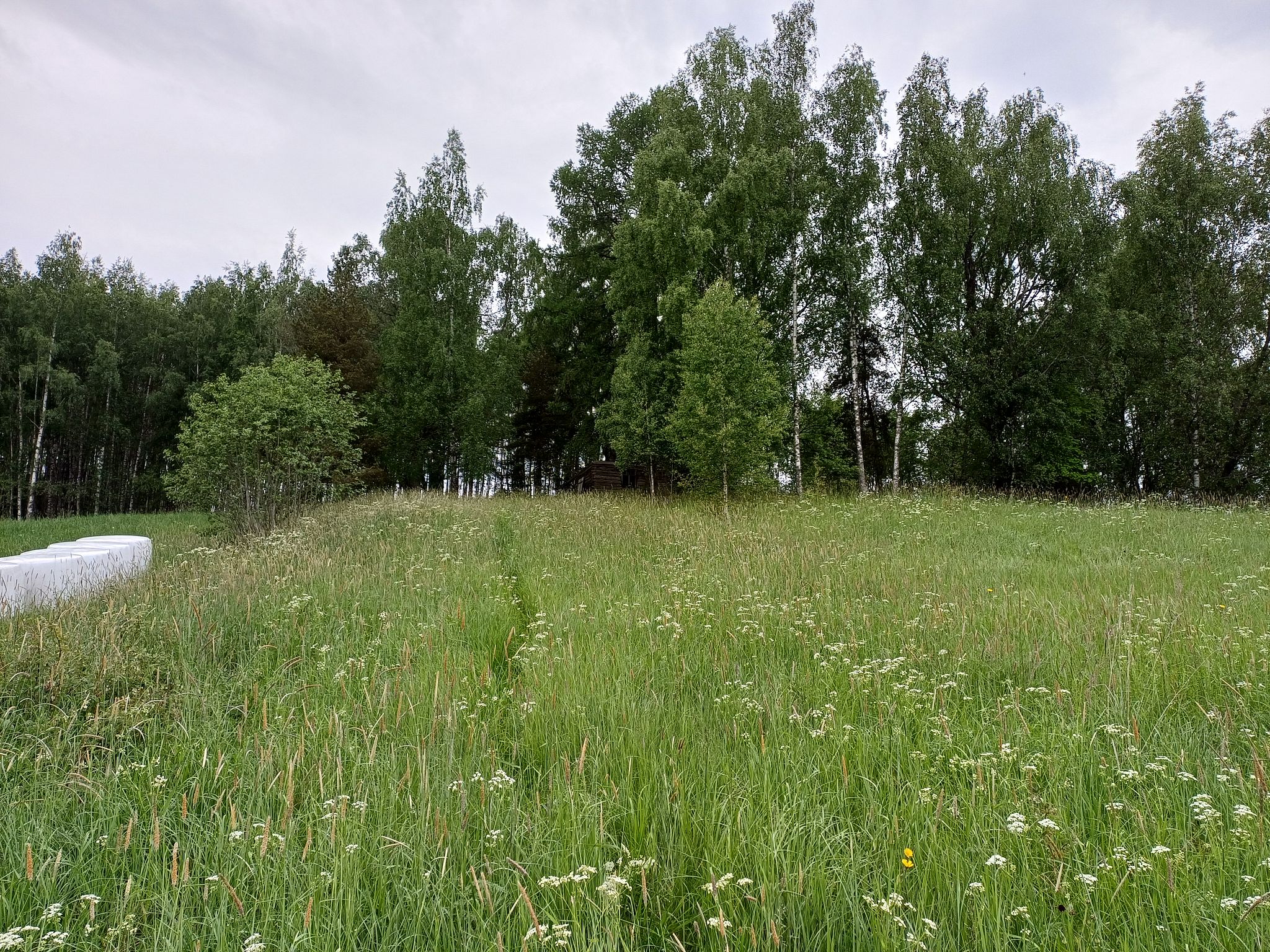 Image 11/12
