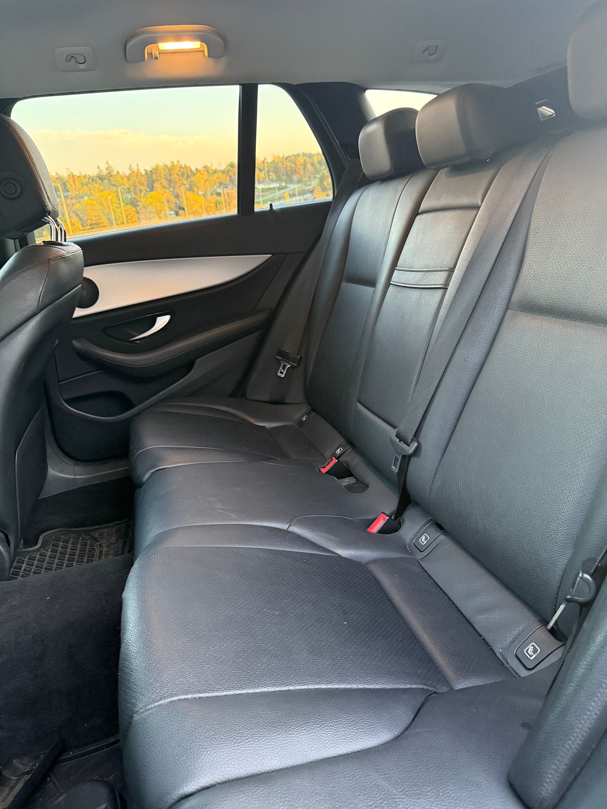 Image 10/11