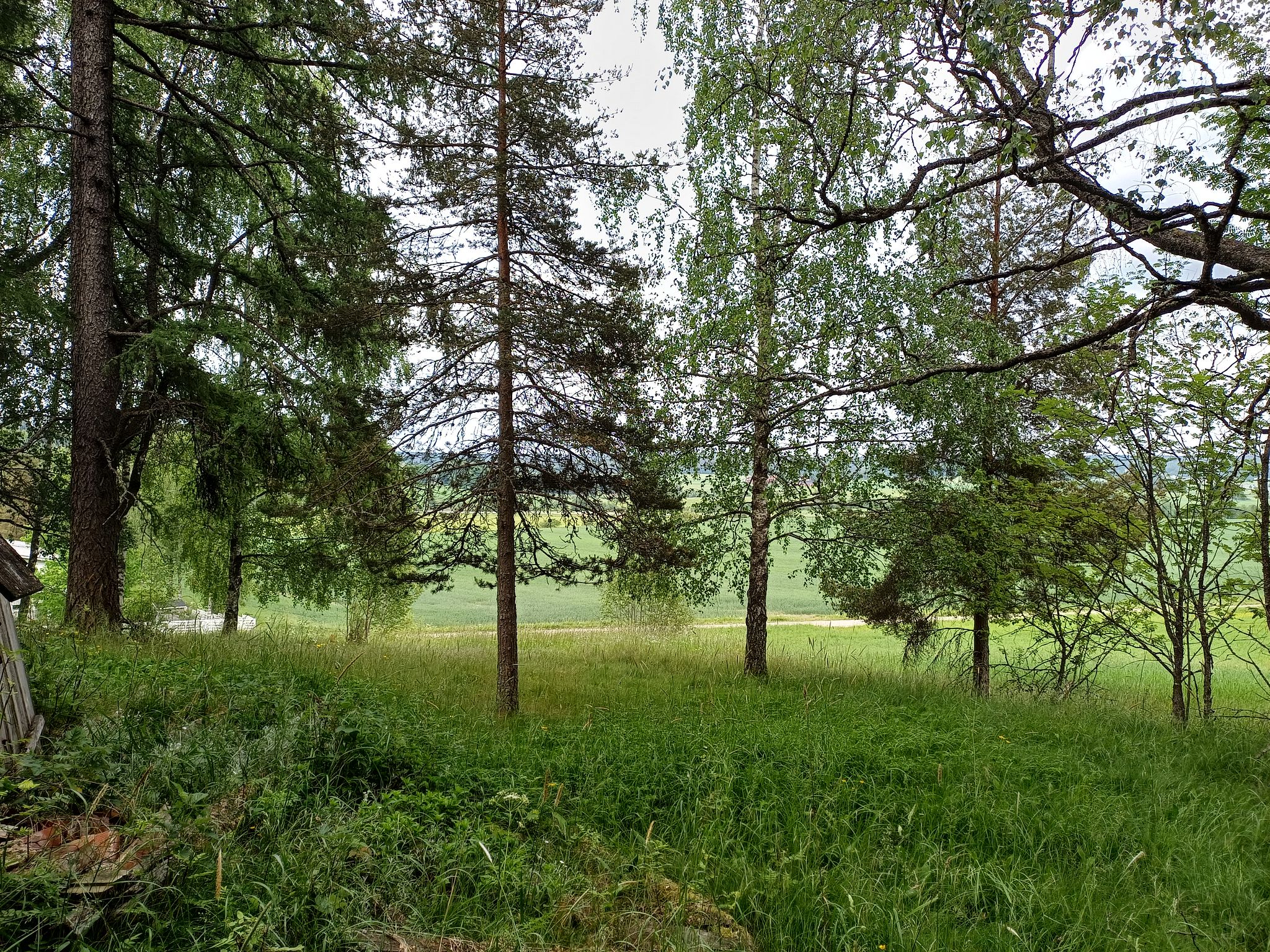Image 7/12