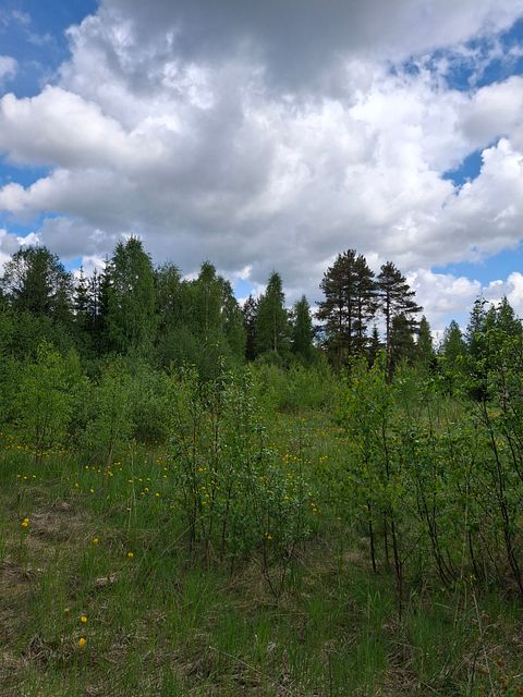 Image 3/26
