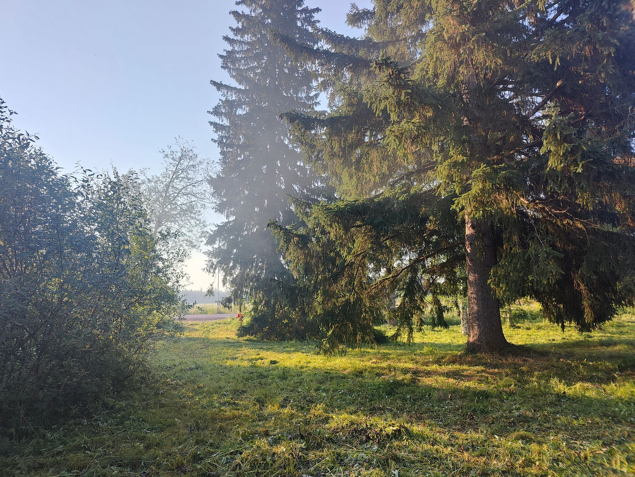 Image 7/30