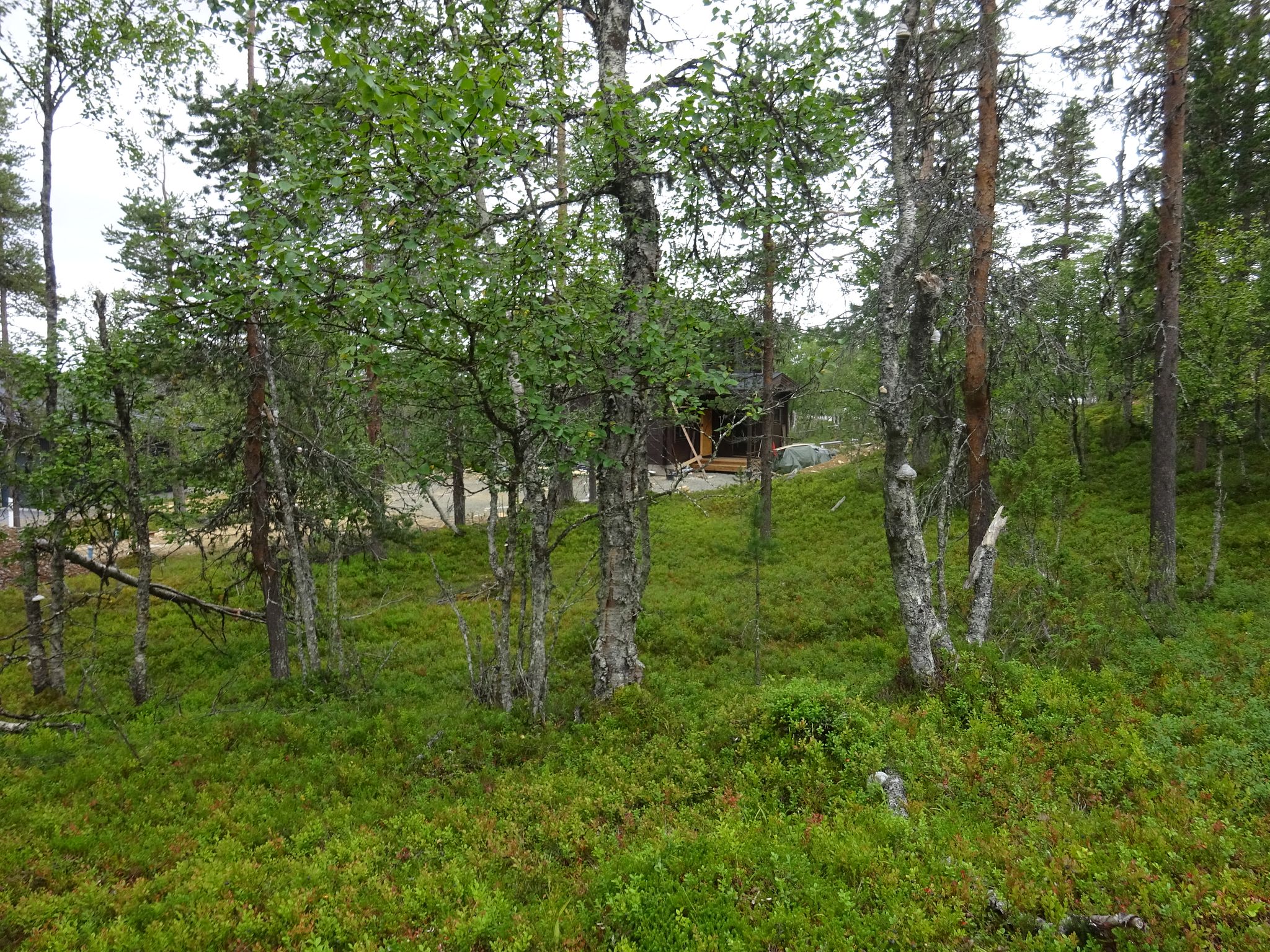 Image 6/9