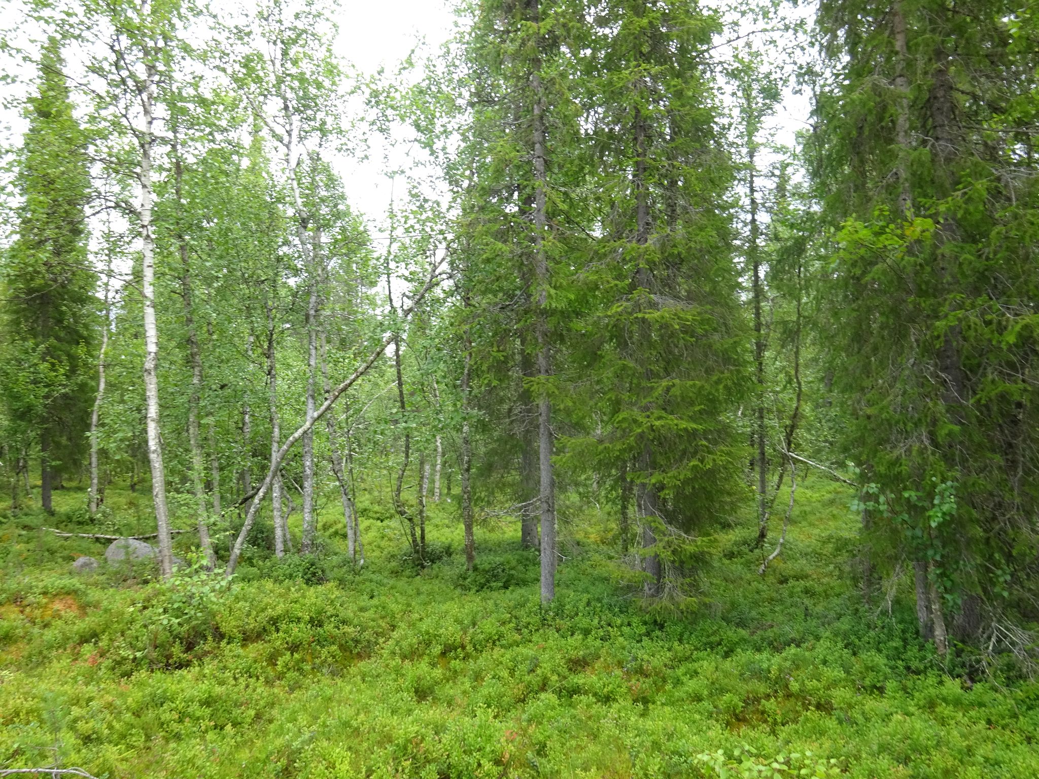 Image 5/11