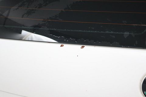 Image 40/55