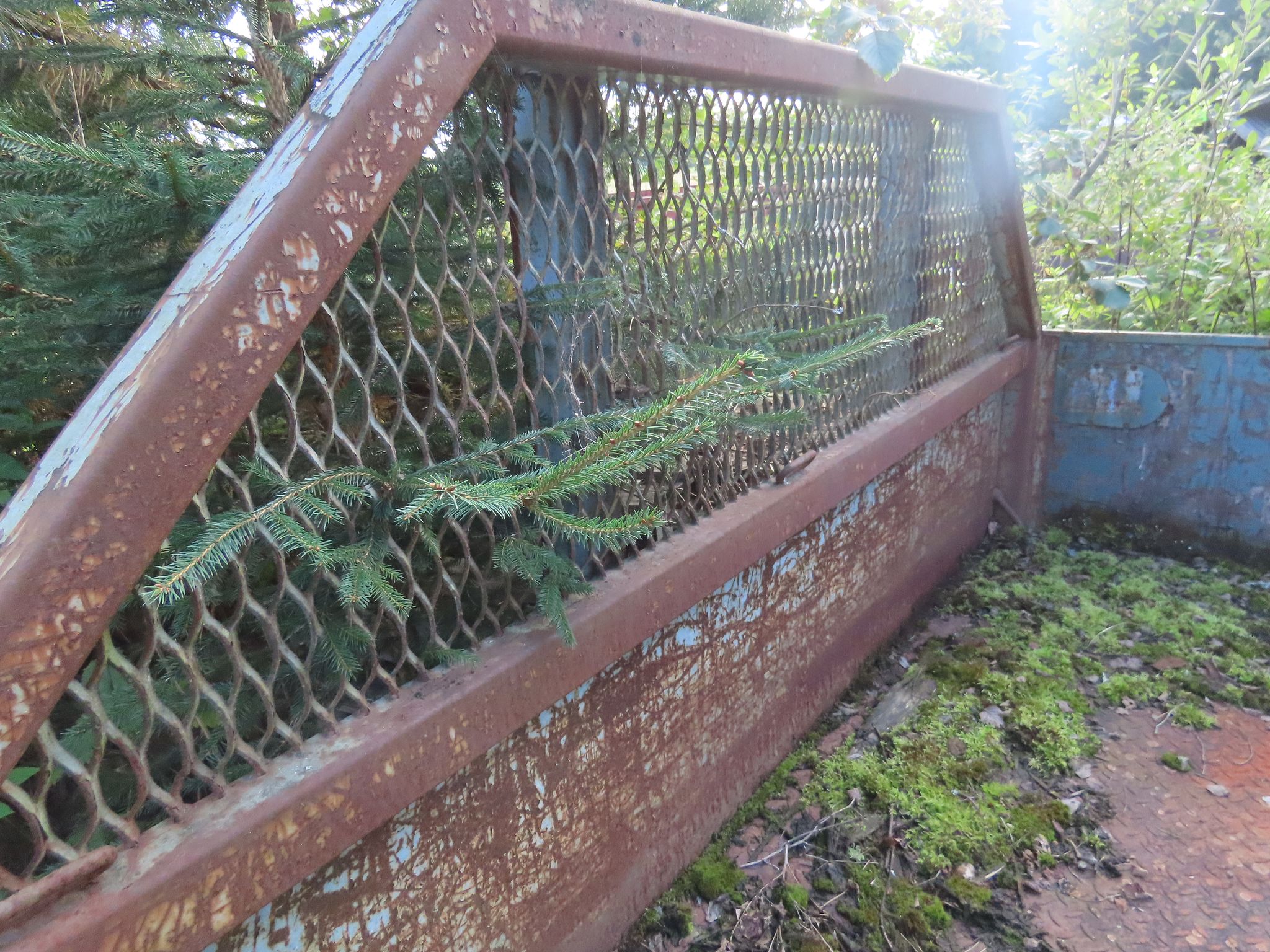 Image 8/8