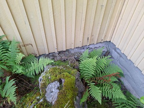 Image 113/142