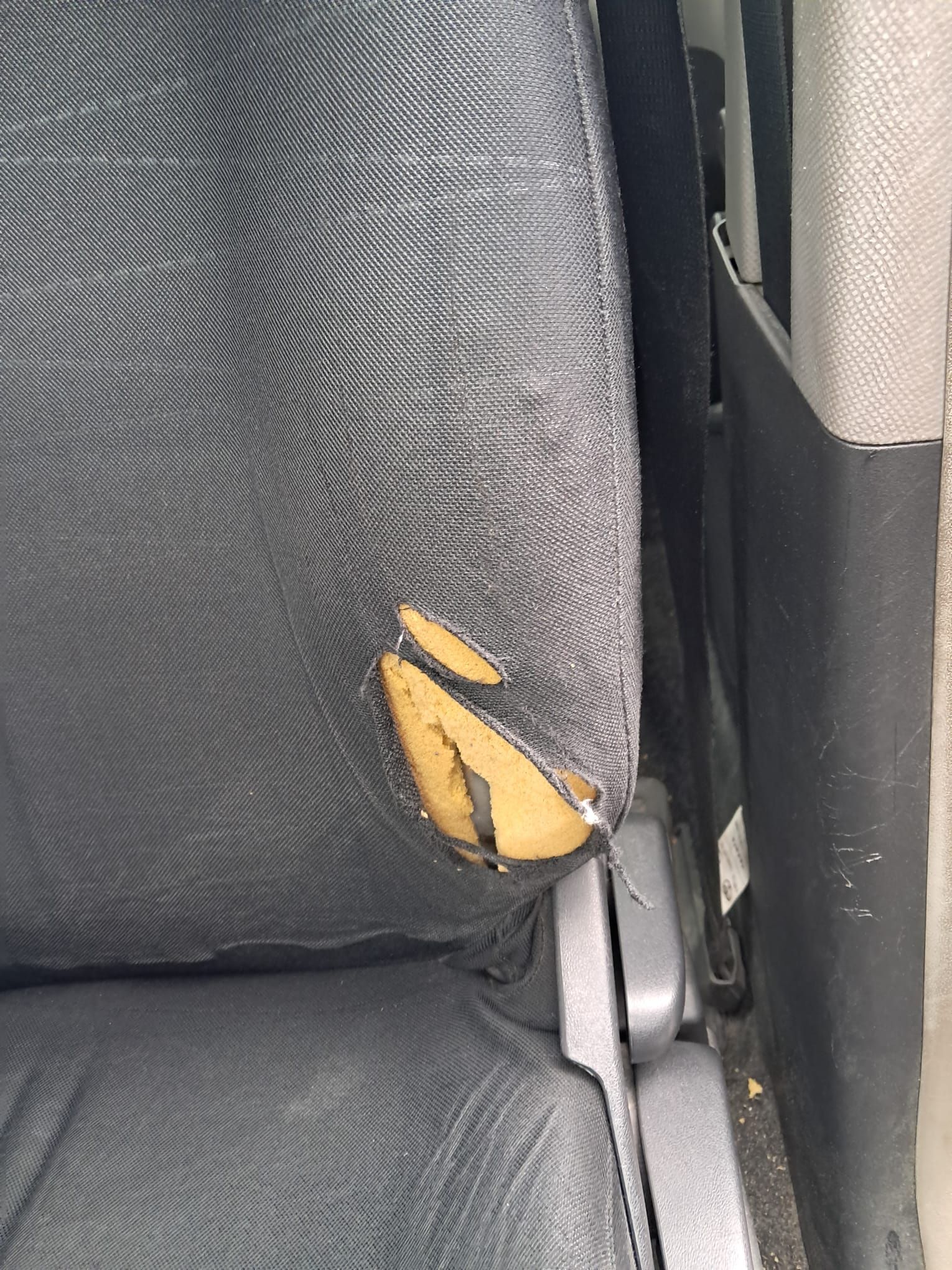 Image 8/10