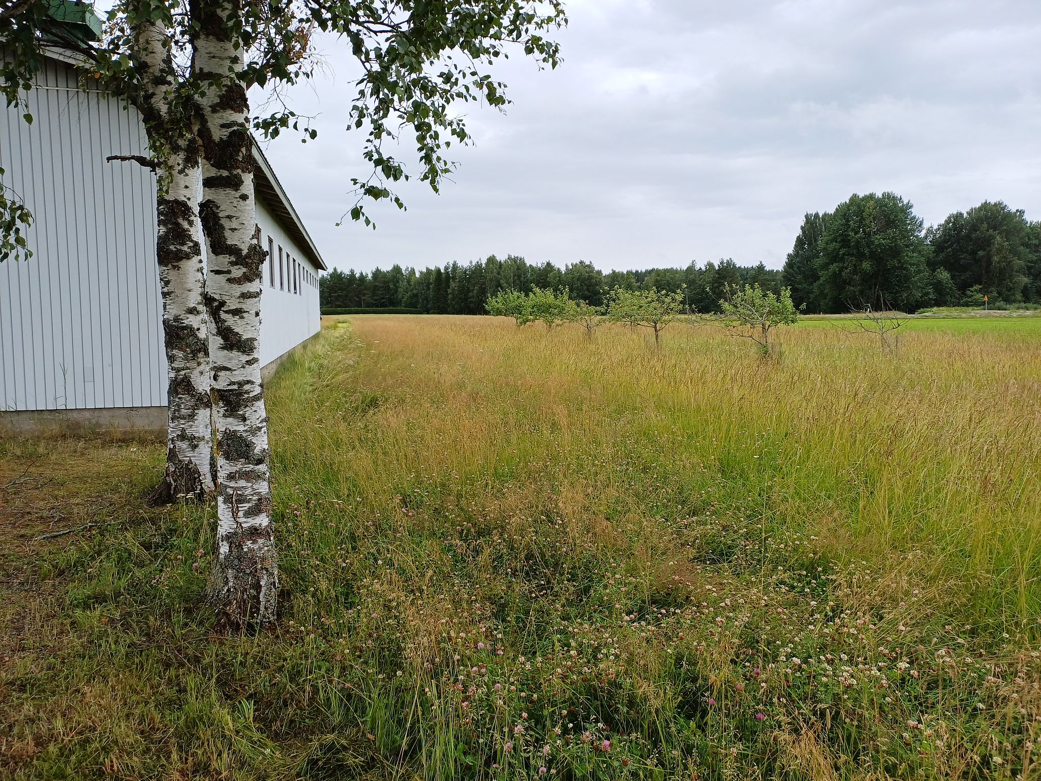 Image 5/20