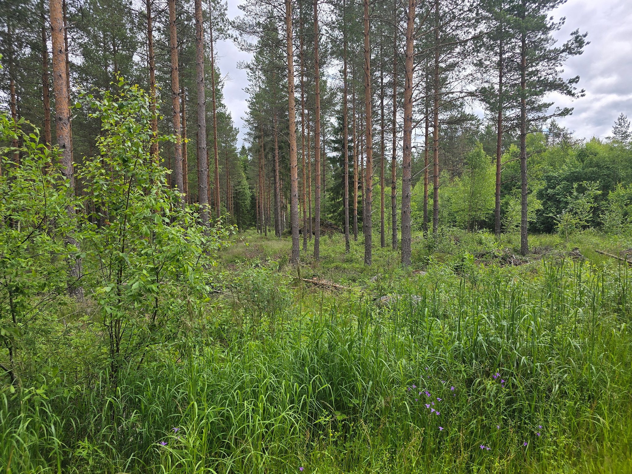 Image 5/20