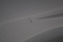 Image 35/55
