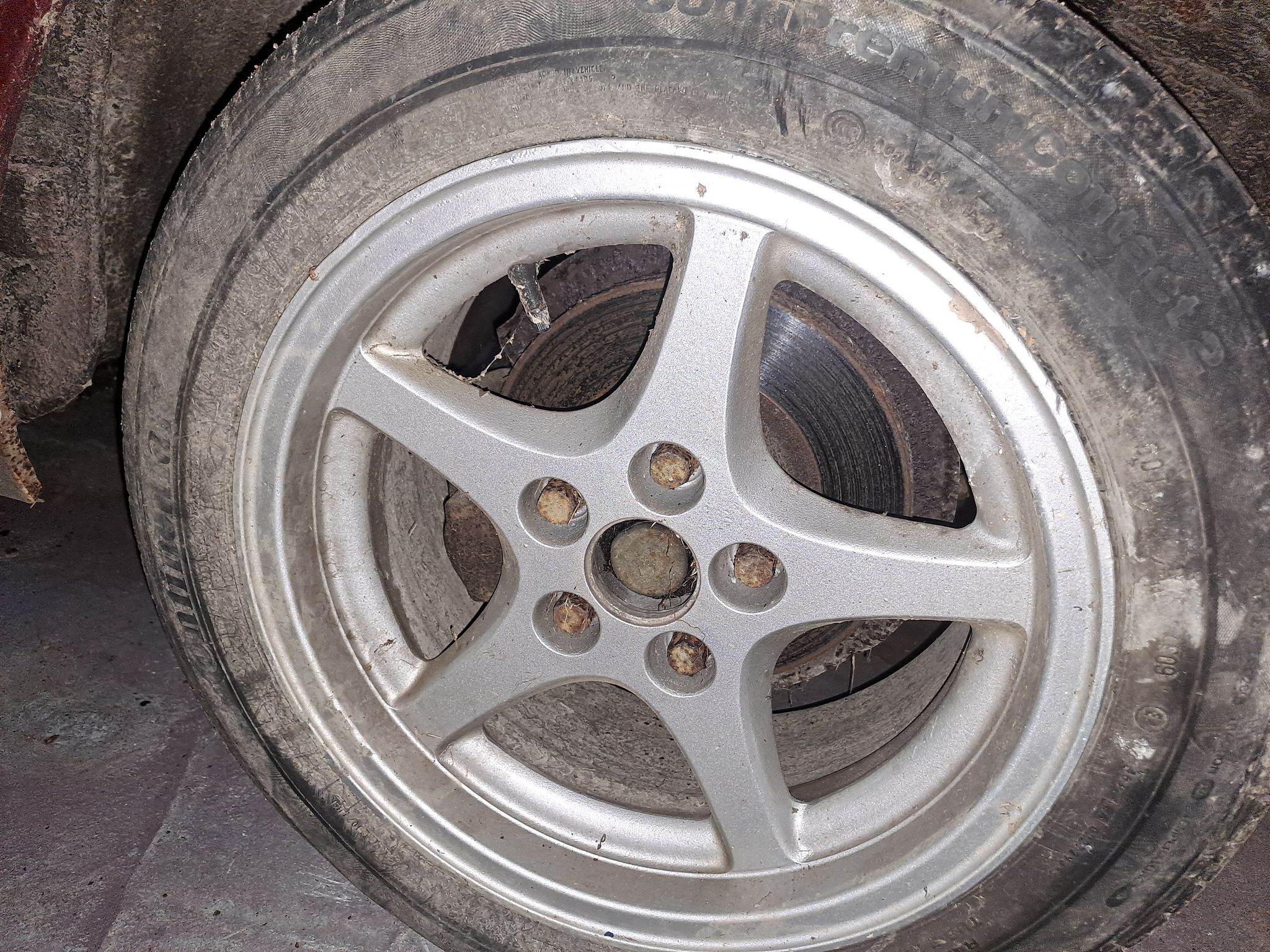 Image 8/10